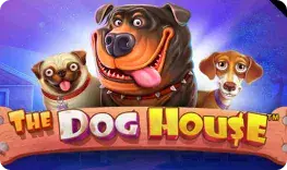 The Dog House Spinogrino review